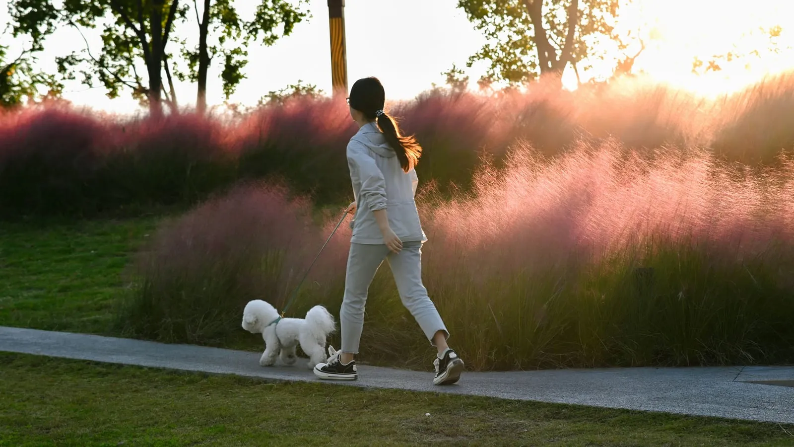 Mulher caminha tranquila com seu cachorro em campo aberto, banhada por luz natural quente do fim de tarde